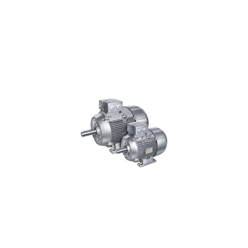 1LE1023-0EB02-2FA4 servo motor